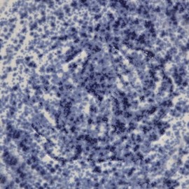 Blue Splatterware - 16 oz Mayco Stoneware Glaze Blue Splatterware - 16 oz Mayco Stoneware Glaze